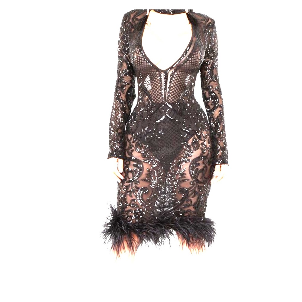 Fashion Nova Sequin Feather Dress